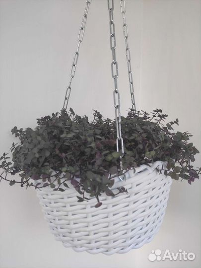 Кашпо из ротанга для цветов подвесное