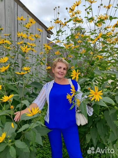 Подработка