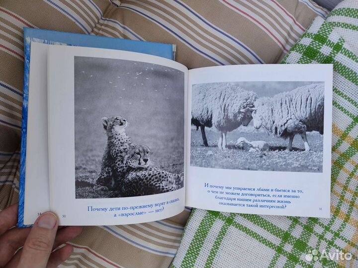 Книги с фотографиями