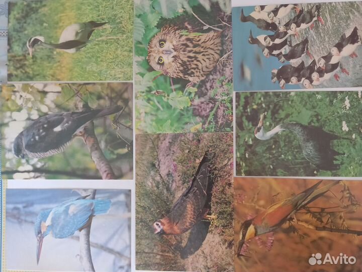 Открытки СССР, марки не гашеные