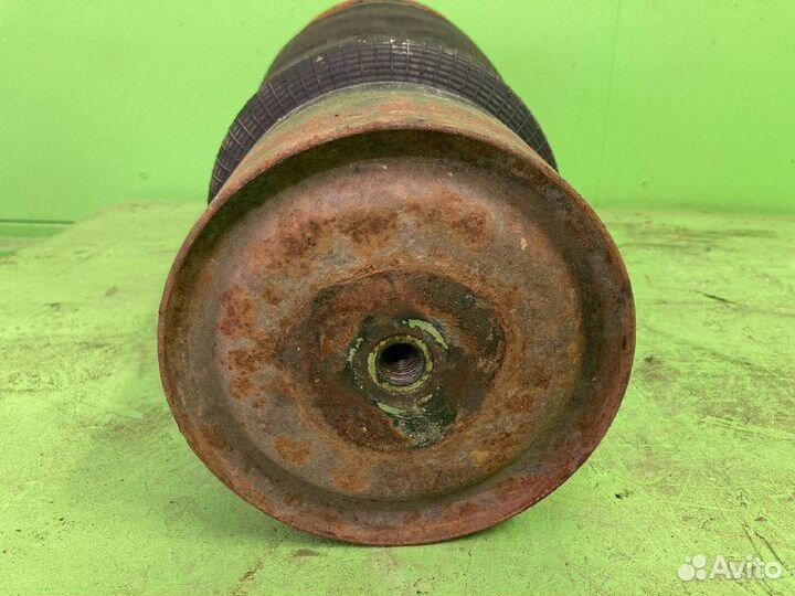 4884N1P01 пневмоподушка MAN TGA