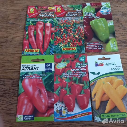 Рассада томат, перец, помидор, баклажан и др