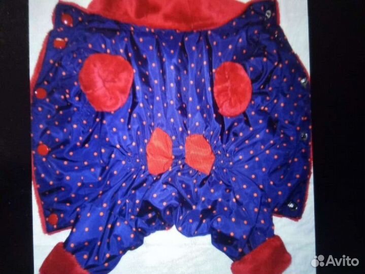 Комбинезончик для собачки (девочки)