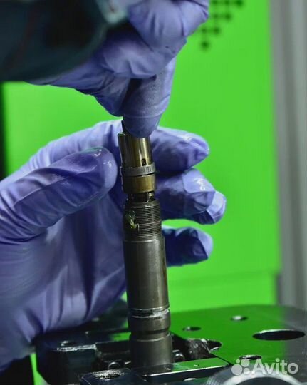 Форсунки 0445120245 Газон, Садко, Валдай