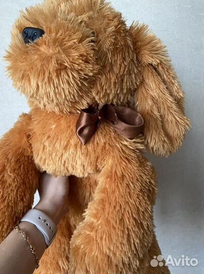 Плюшевая собака