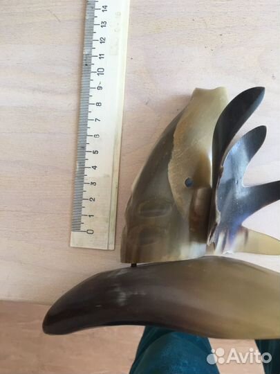 Лось из рога