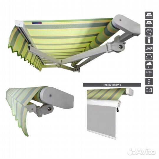 Маркиза локтевая