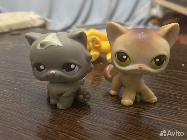 Лпс для александра ткчачева