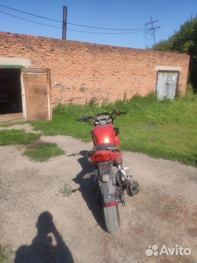 Racer Fighter RC250CK-N