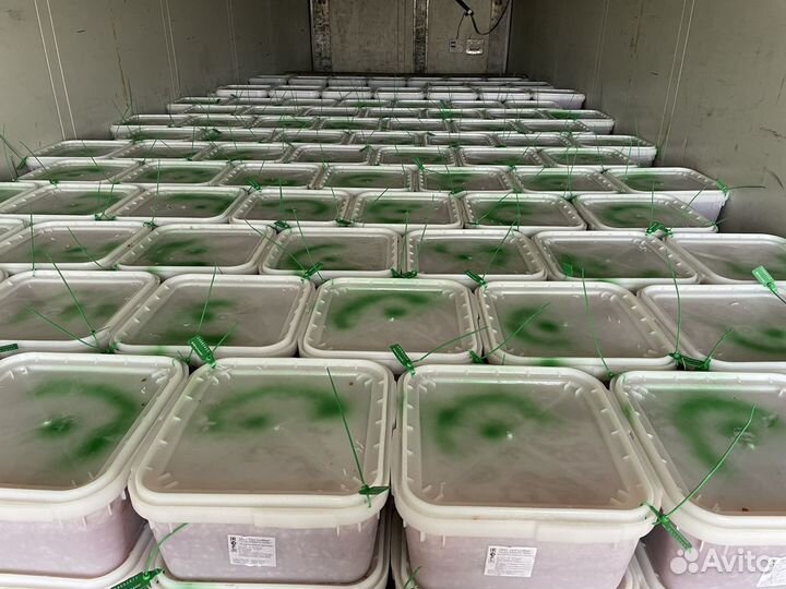 Икра красная