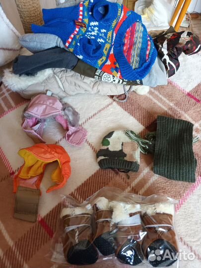 Одежда и обувь для собак мелких пород