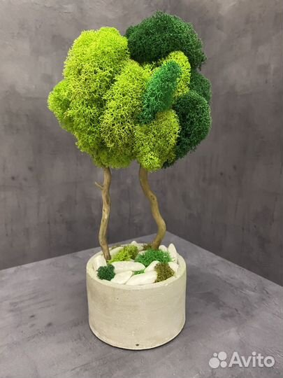 Дерево из мха