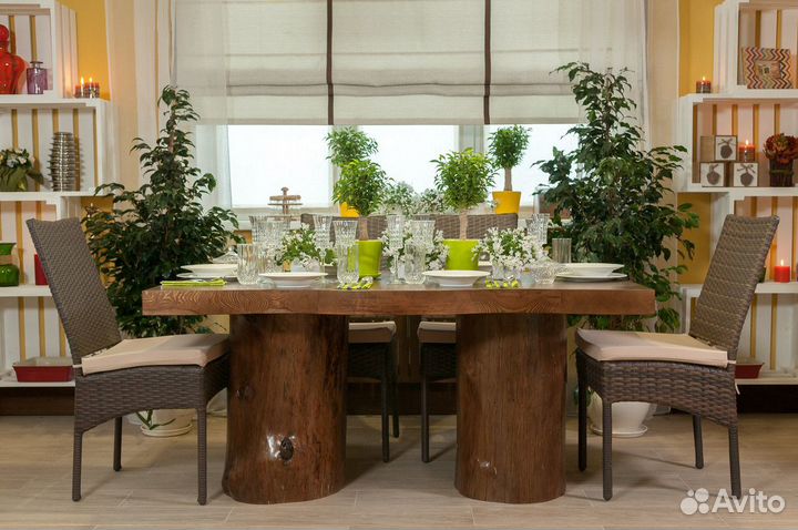 Шезлонги из ротанга / уличная мебель