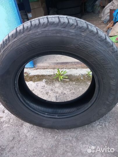 Pirelli Scorpion 185/75 R16