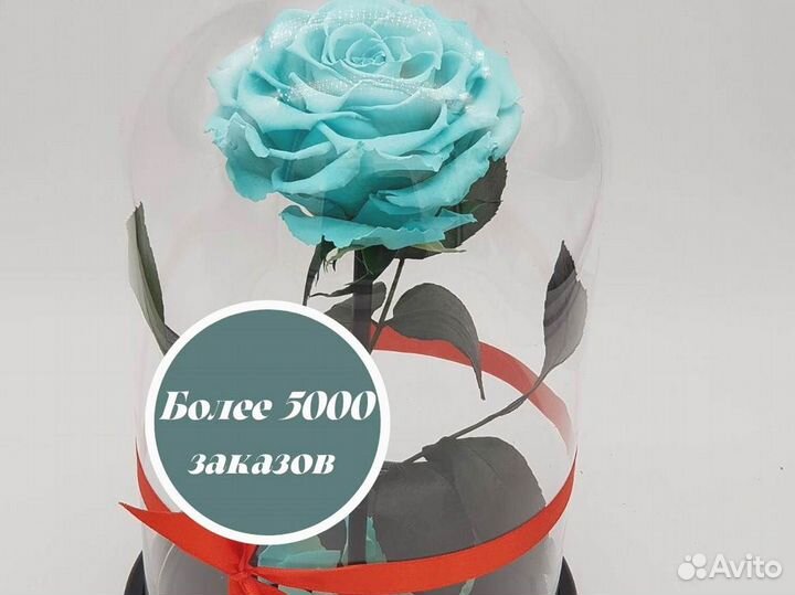 Роза в колбе. Стоит до 8 лет