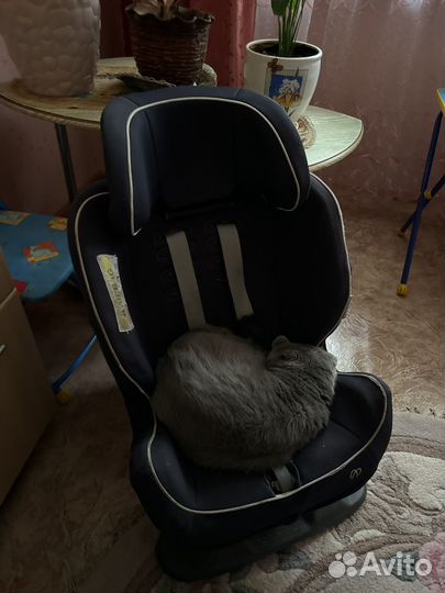 Автокресло Ailebebe Carmatte Zutto