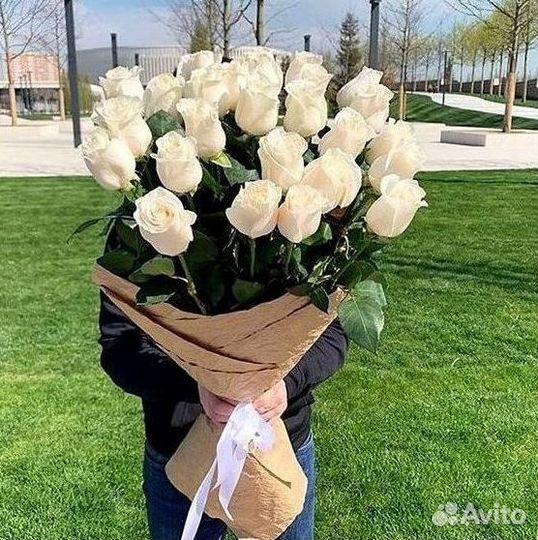 101 роза цветы букеты доставка 25 51 101 роза