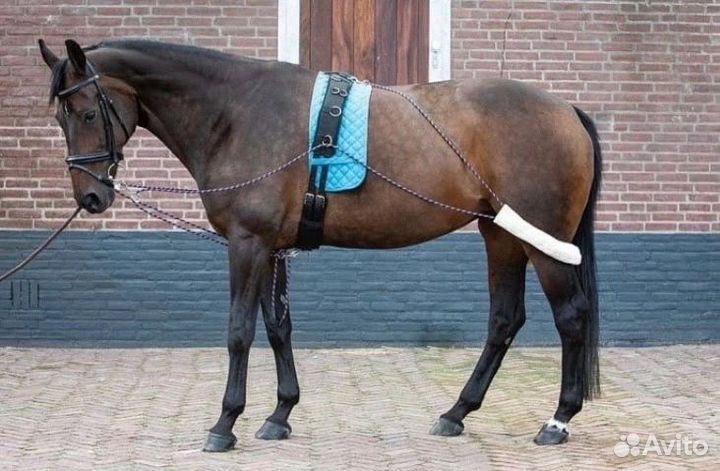 Шлея пессоа для лошади