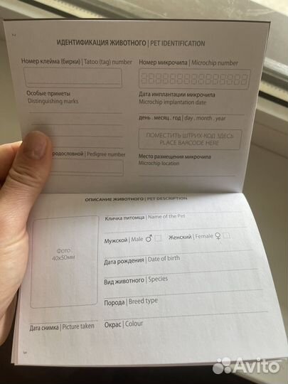 Паспорт для питомца