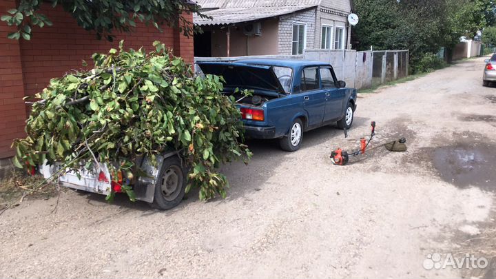 Спил деревьев