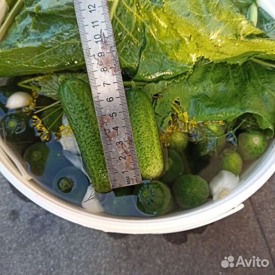 Огурцы соленые