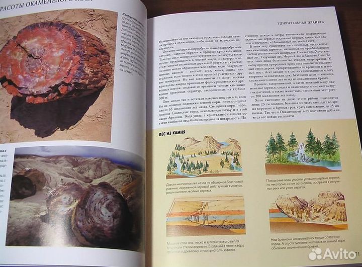 Книга: Планета чудес и загадок