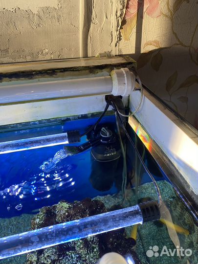 Внутренний фильтр для аквариума aquael