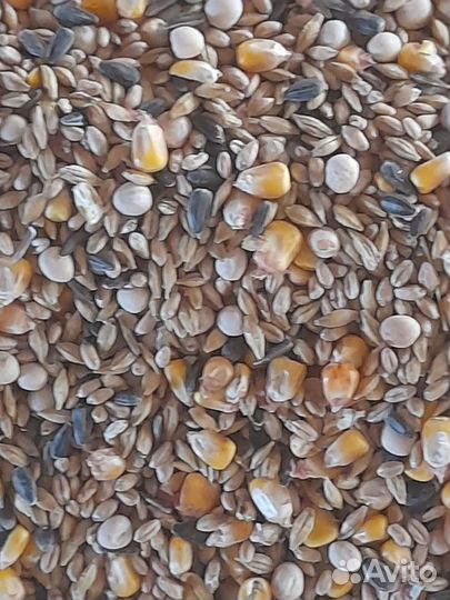 Зерносмесь