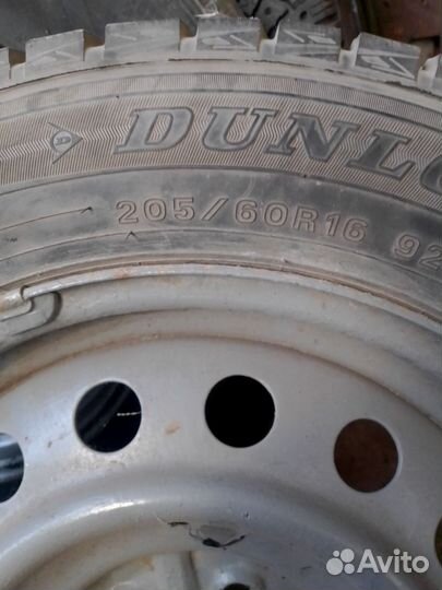Dunlop Winter Maxx 205/60 R16