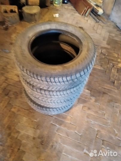 Motomaster APL 175/70 R14 82T