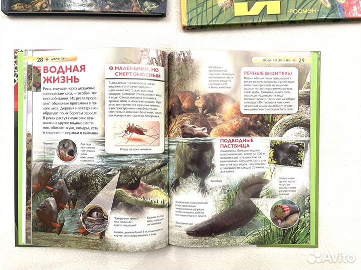 Детские книги энциклопедии животные