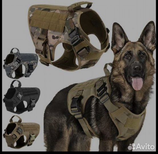 Тактический жилет-шлейка для собак