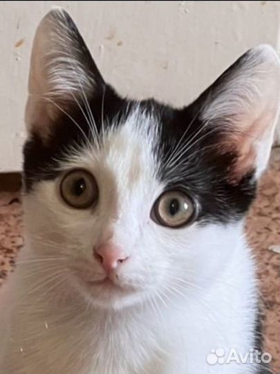 Мальчик красавчик