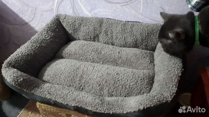 Продам подстилку для кошки