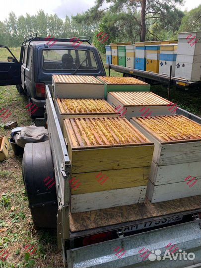 Мед натуральный Москва