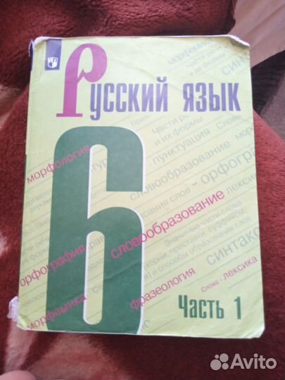 Учебник Русский язык 6 класс 1 часть