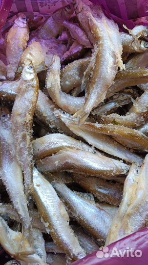 Корюшка свежемороженая