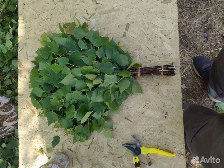 Березовые веники для бани