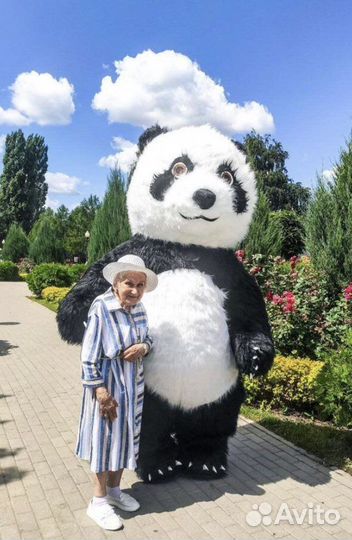 Поздравление панды, поздравление мишки,дед мороза