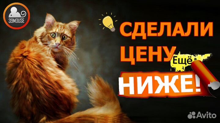 Процессор Amd Ryzen 5 1600 на AM4 с Гарантией