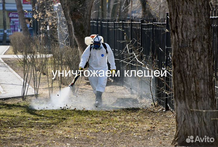 Лечение деревьев,уничтожение короеда,покос и тд