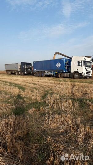 Услуга перевозка сыпучих грузов зерна адр