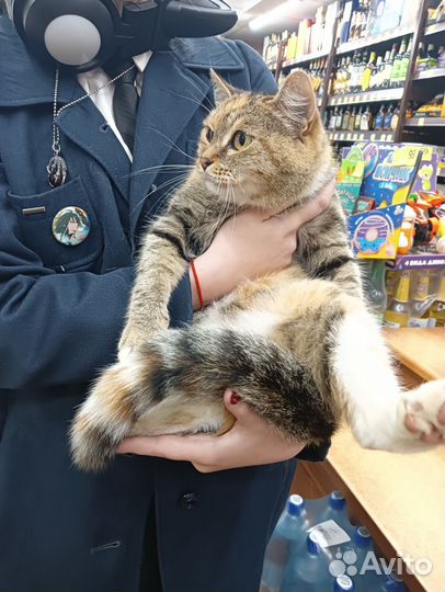 Европейская