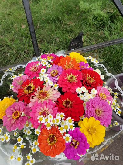 Букет цветов