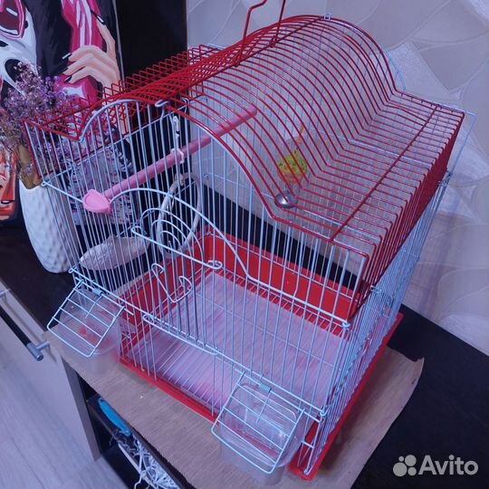 Клетка для попугая