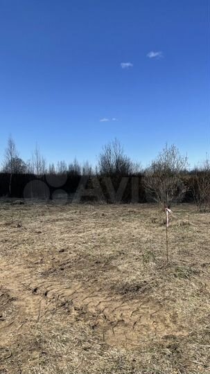 Участок 8,5 сот. (СНТ, ДНП)