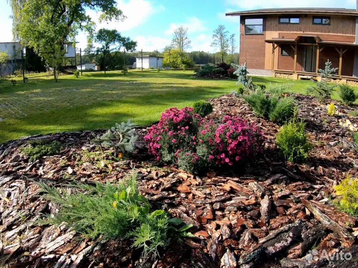 Кора сосновая / мульча / кора / доставка