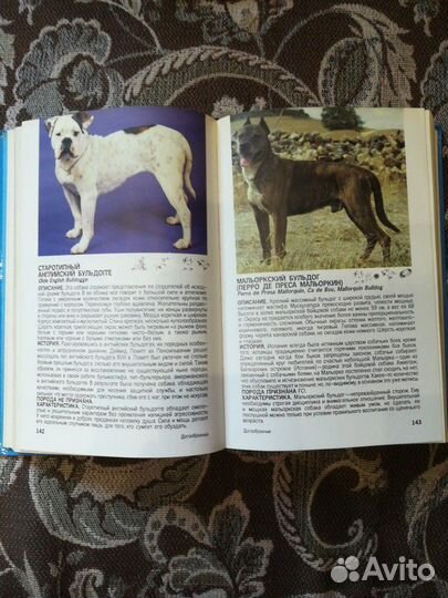 Книги про собак