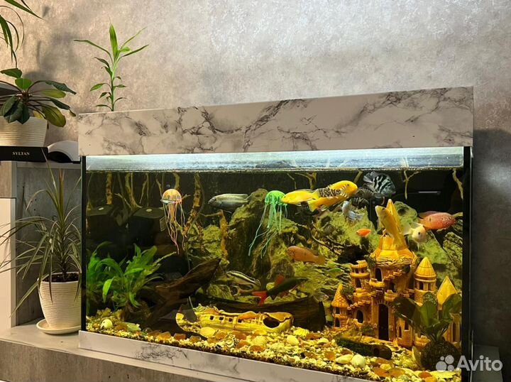 Аквариум 180 литров