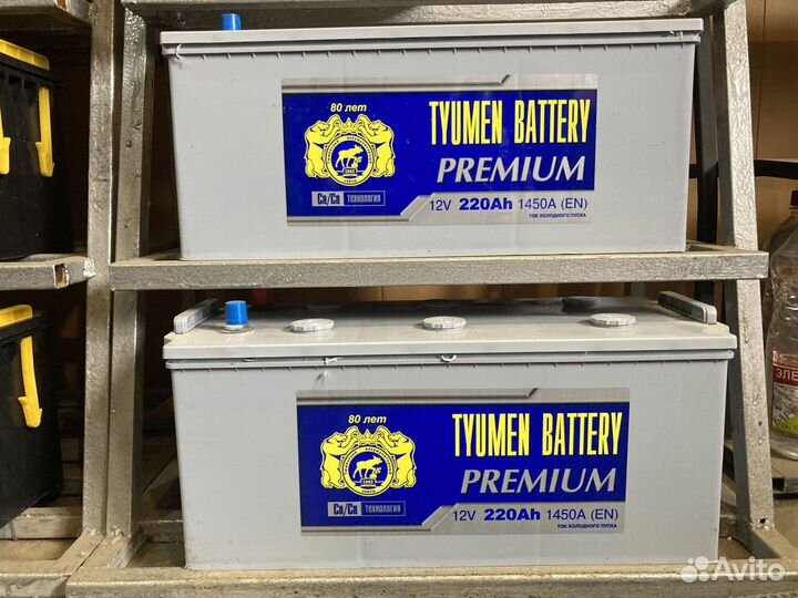 Аккумулятор Тюмень Лось Tyumen 220,225,230Ач О/П